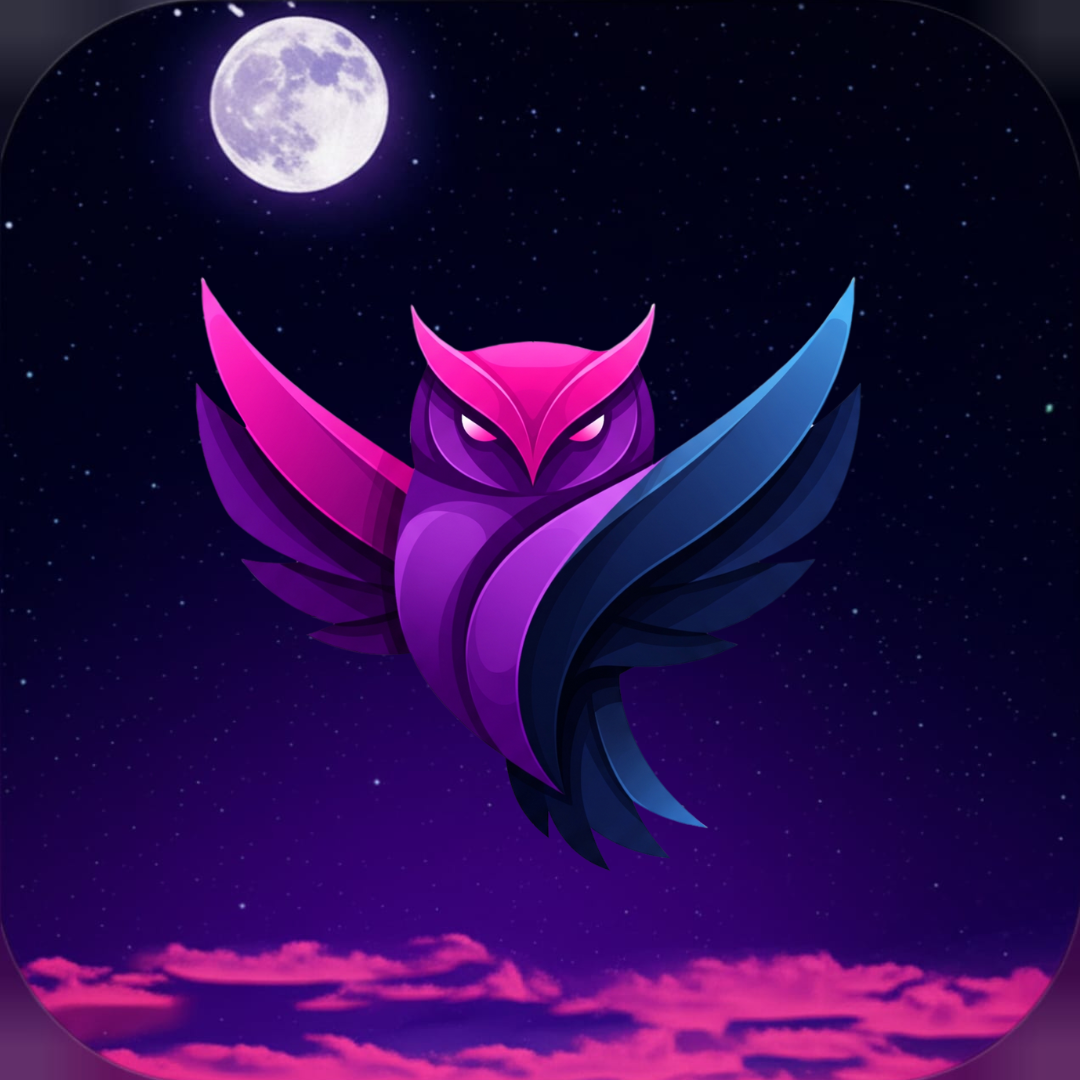 Night Owl - Anonymous Chat App for Night Hours | Enter the Night